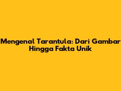 Mengenal Tarantula: Dari Gambar Hingga Fakta Unik