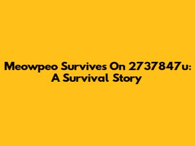 Meowpeo Survives On 2737847u: A Survival Story