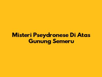 Misteri Pseydronese Di Atas Gunung Semeru