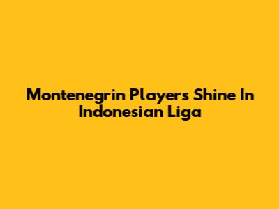 Montenegrin Players Shine In Indonesian Liga