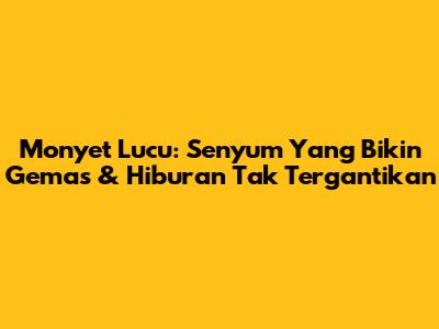 Monyet Lucu: Senyum Yang Bikin Gemas & Hiburan Tak Tergantikan