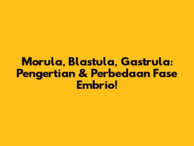 Morula, Blastula, Gastrula: Pengertian & Perbedaan Fase Embrio!