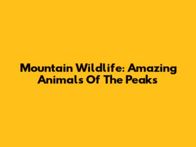 Mountain Wildlife: Amazing Animals Of The Peaks