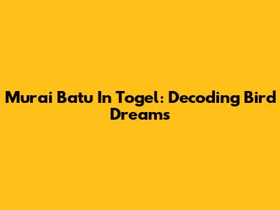 Murai Batu In Togel: Decoding Bird Dreams