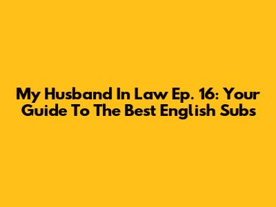 My Husband In Law Ep. 16: Your Guide To The Best English Subs