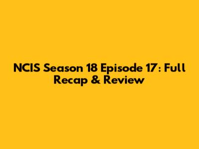 NCIS Season 18 Episode 17: Full Recap & Review