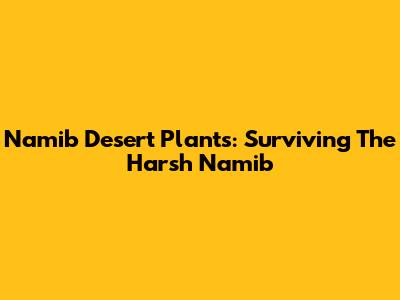 Namib Desert Plants: Surviving The Harsh Namib