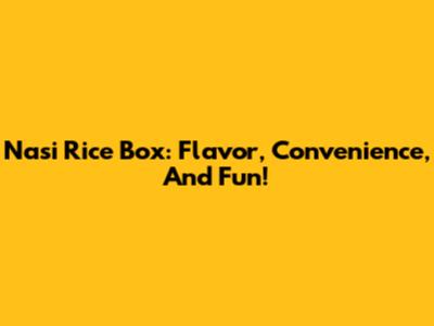 Nasi Rice Box: Flavor, Convenience, And Fun!