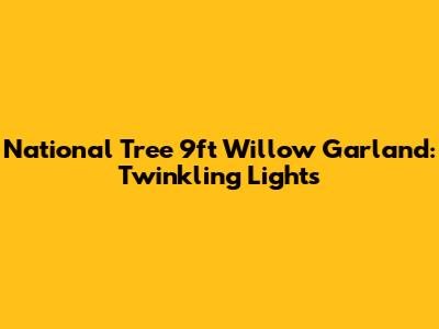 National Tree 9ft Willow Garland: Twinkling Lights