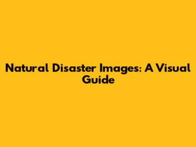 Natural Disaster Images: A Visual Guide