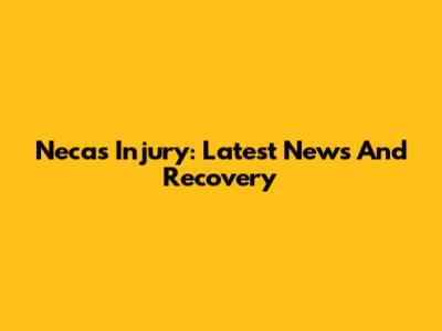 Necas Injury: Latest News And Recovery