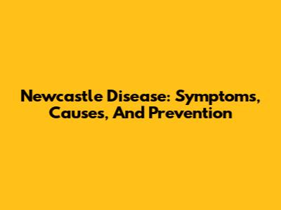 Newcastle Disease: Symptoms, Causes, And Prevention