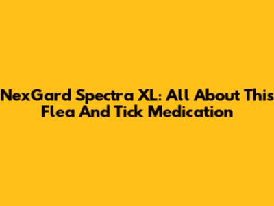 NexGard Spectra XL: All About This Flea And Tick Medication