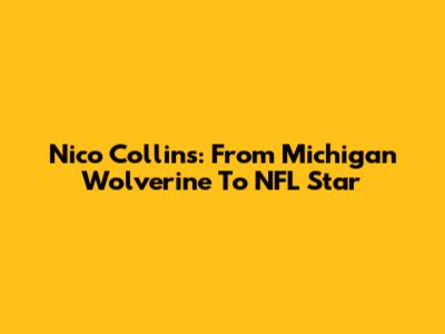Nico Collins: From Michigan Wolverine To NFL Star