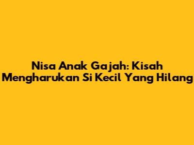 Nisa Anak Gajah: Kisah Mengharukan Si Kecil Yang Hilang