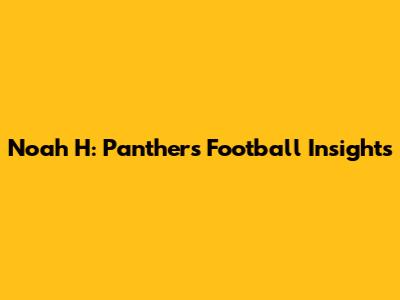 Noah H: Panthers Football Insights