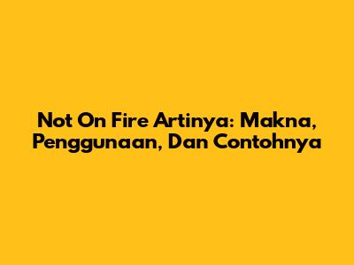 Not On Fire Artinya: Makna, Penggunaan, Dan Contohnya