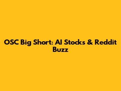 OSC Big Short: AI Stocks & Reddit Buzz