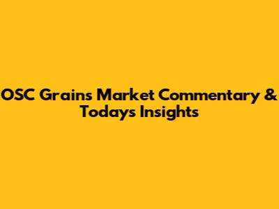 OSC Grains Market Commentary & Today's Insights