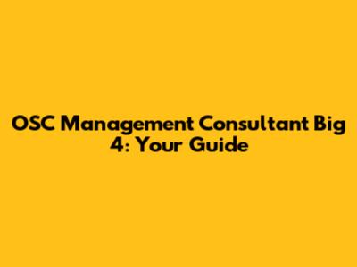 OSC Management Consultant Big 4: Your Guide