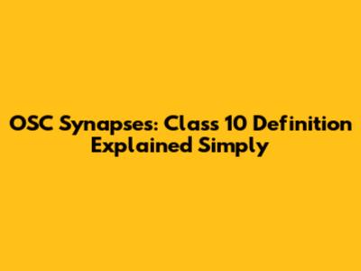 OSC Synapses: Class 10 Definition Explained Simply