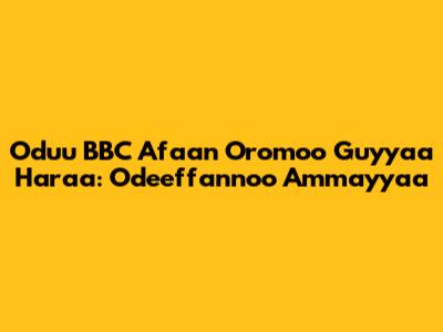 Oduu BBC Afaan Oromoo Guyyaa Har'aa: Odeeffannoo Ammayyaa