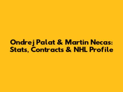 Ondrej Palat & Martin Necas: Stats, Contracts & NHL Profile