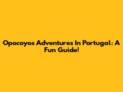 Opocoyo's Adventures In Portugal: A Fun Guide!