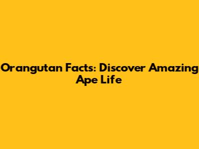 Orangutan Facts: Discover Amazing Ape Life