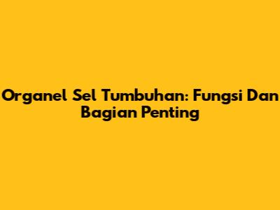Organel Sel Tumbuhan: Fungsi Dan Bagian Penting
