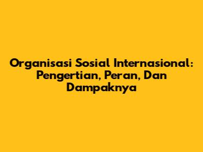 Organisasi Sosial Internasional: Pengertian, Peran, Dan Dampaknya
