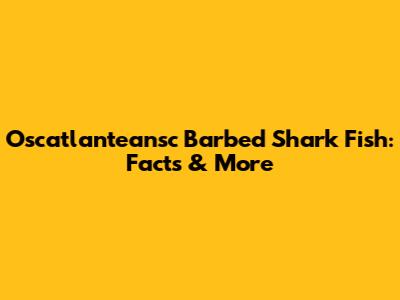 Oscatlanteansc Barbed Shark Fish: Facts & More