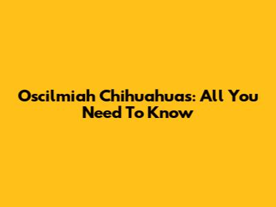 Oscilmiah Chihuahuas: All You Need To Know