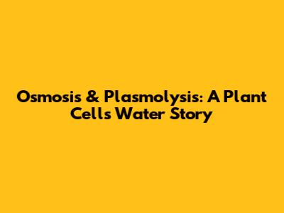 Osmosis & Plasmolysis: A Plant Cell's Water Story