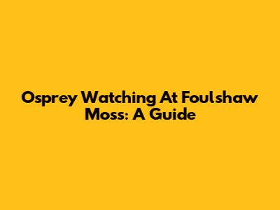 Osprey Watching At Foulshaw Moss: A Guide