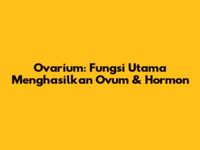 Ovarium: Fungsi Utama Menghasilkan Ovum & Hormon