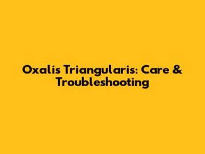 Oxalis Triangularis: Care & Troubleshooting