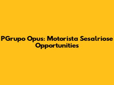 PGrupo Opus: Motorista Sesalriose Opportunities