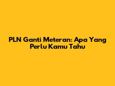 PLN Ganti Meteran: Apa Yang Perlu Kamu Tahu