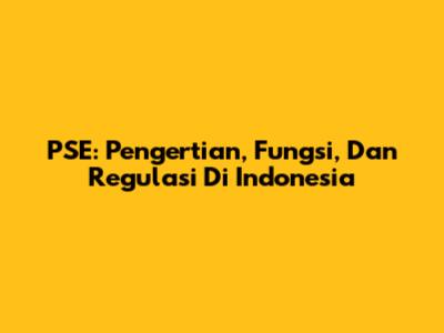 PSE: Pengertian, Fungsi, Dan Regulasi Di Indonesia
