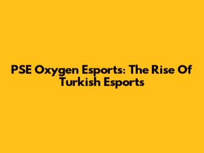 PSE Oxygen Esports: The Rise Of Turkish Esports