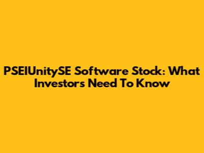 PSEIUnitySE Software Stock: What Investors Need To Know