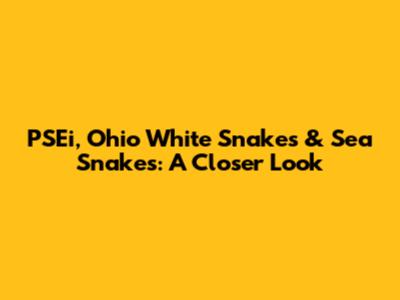 PSEi, Ohio White Snakes & Sea Snakes: A Closer Look