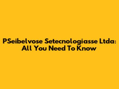 PSeibelvose Setecnologiasse Ltda: All You Need To Know