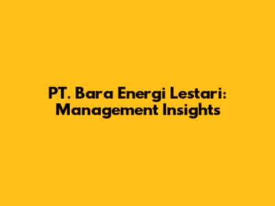 PT. Bara Energi Lestari: Management Insights