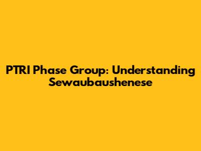 PTRI Phase Group: Understanding Sewaubaushenese
