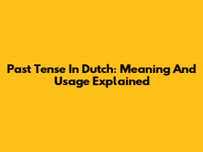 Past Tense In Dutch: Meaning And Usage Explained