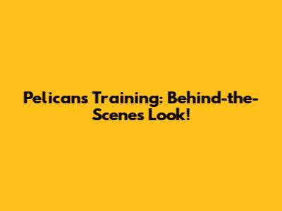Pelicans Training: Behind-the-Scenes Look!