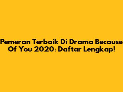 Pemeran Terbaik Di Drama 'Because Of You' 2020: Daftar Lengkap!