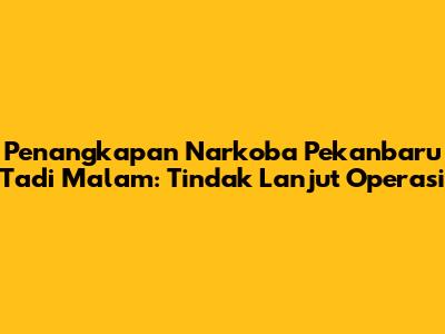 Penangkapan Narkoba Pekanbaru Tadi Malam: Tindak Lanjut Operasi